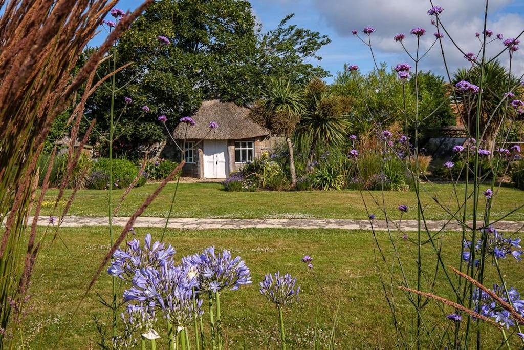 Вілла The Beach House-Devon- On The Beach- Sleeps 20 Ексмут Екстер'єр фото